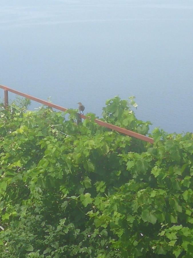 Milojka Appartement Senj  Buitenkant foto