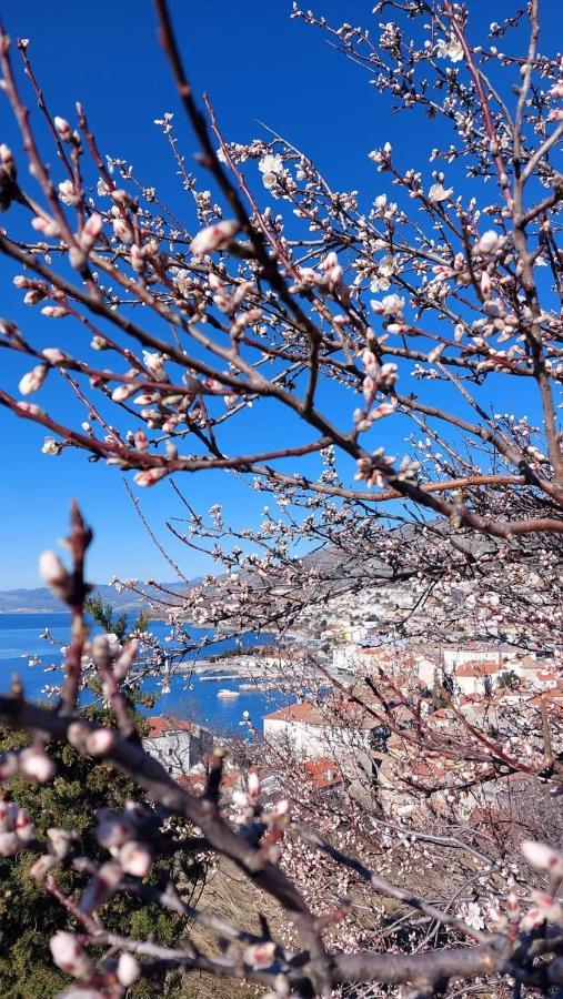 Milojka Appartement Senj  Buitenkant foto