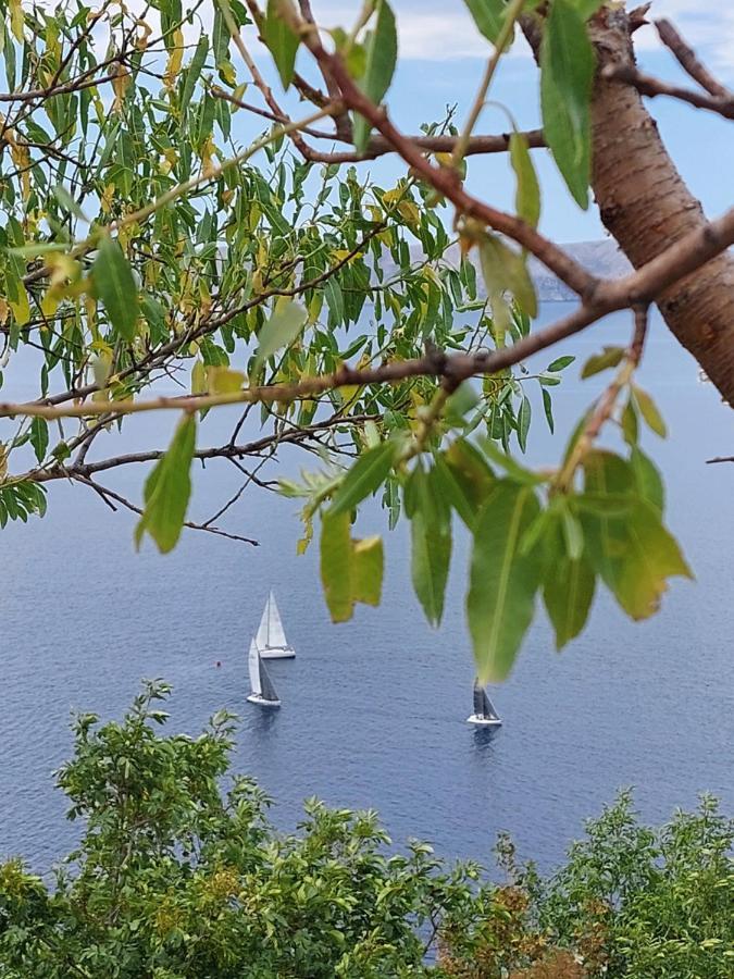 Milojka Appartement Senj  Buitenkant foto
