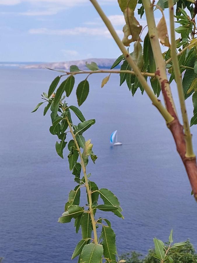 Milojka Appartement Senj  Buitenkant foto